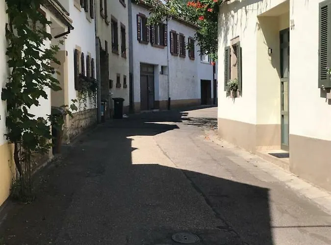 Eulenhof شقة Neustadt an der Weinstraße